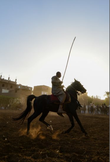 تحدي فرسان على أصوله (1)