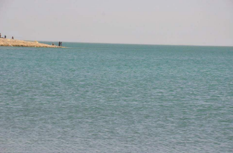 بحيرة مفيض توشكى، فيتو