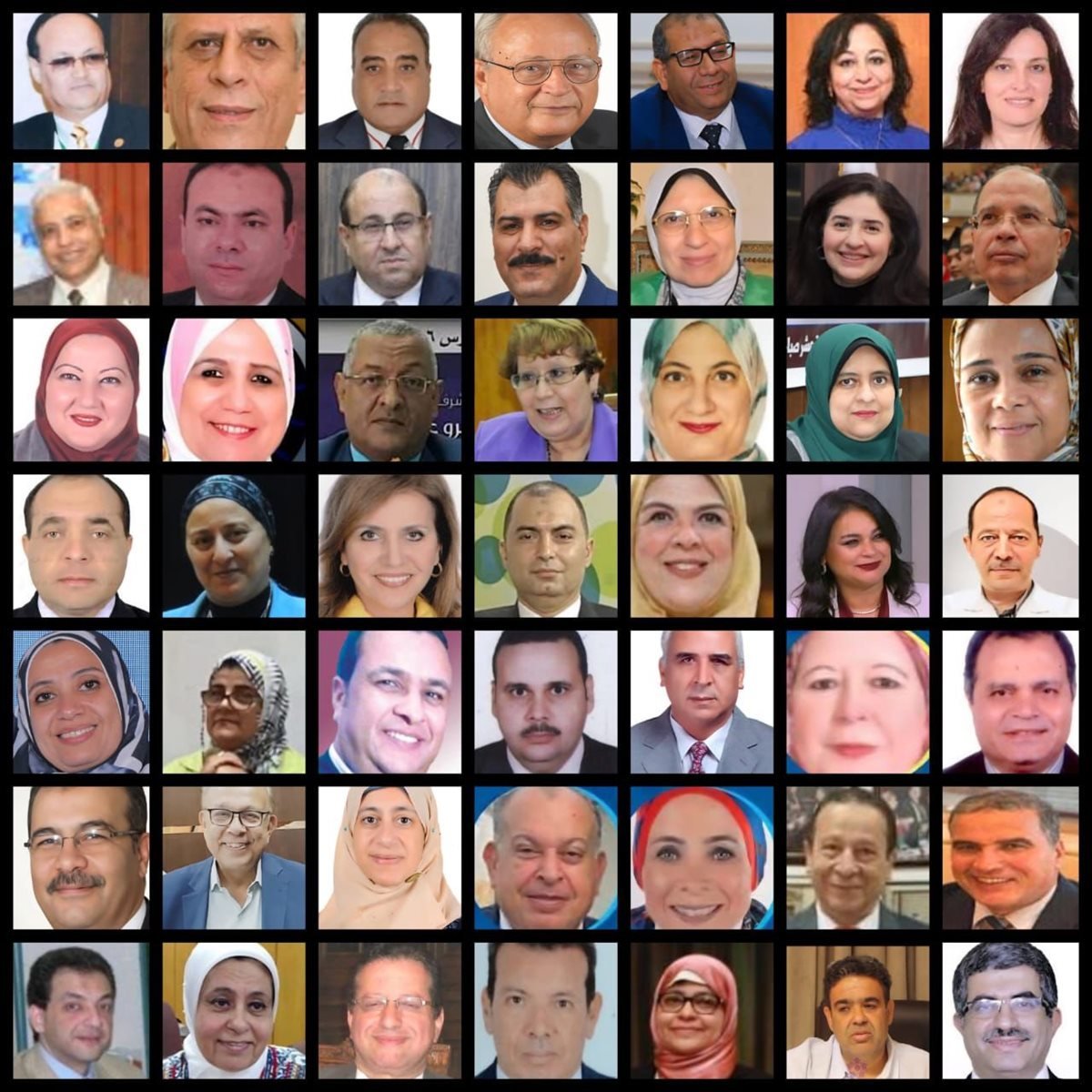 أعضاء اللجان العلمية من جامعة القاهرة، فيتو