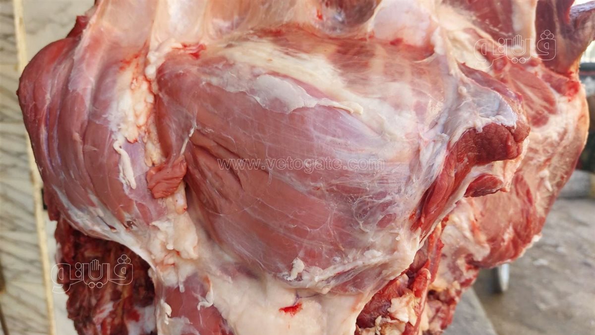 أسعار اللحمة، فيتو