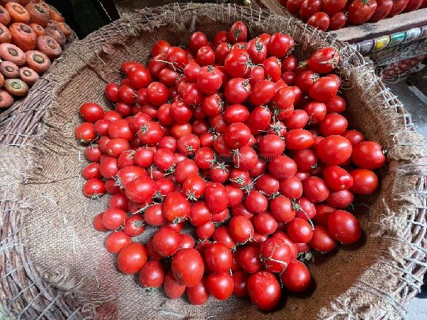 أسعار الطماطم اليوم الإثنين في الأسواق، فيتو