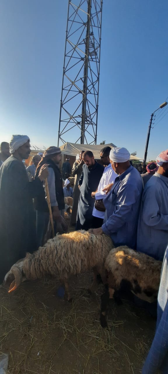 جانب من أعمال اللجنة، فيتو