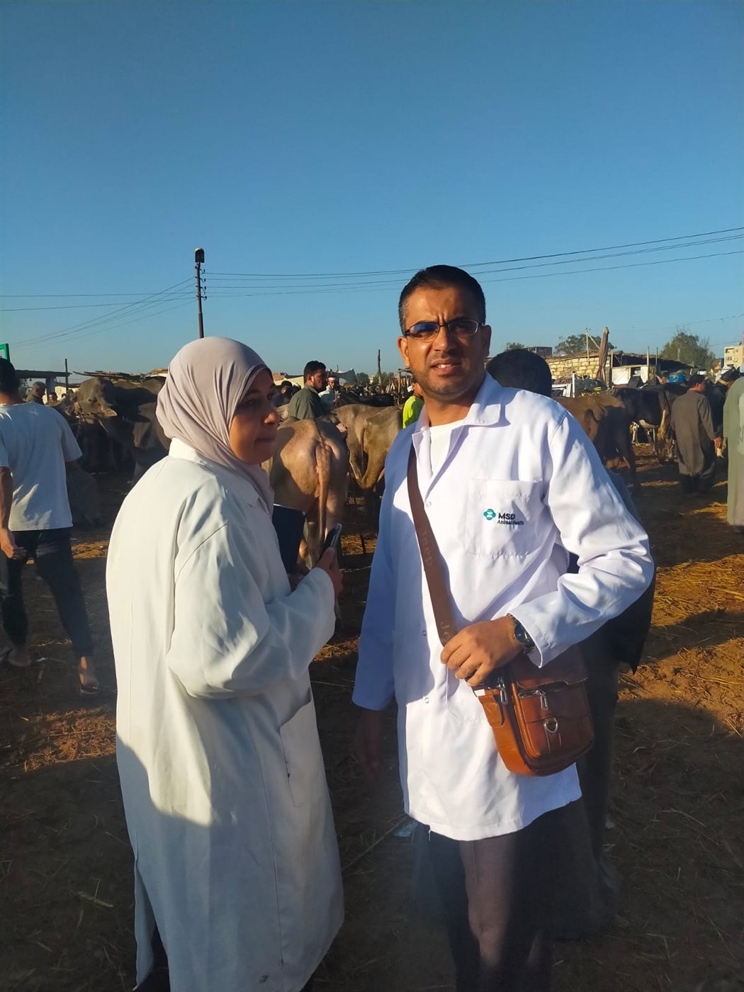 جانب من أعمال اللجنة، فيتو