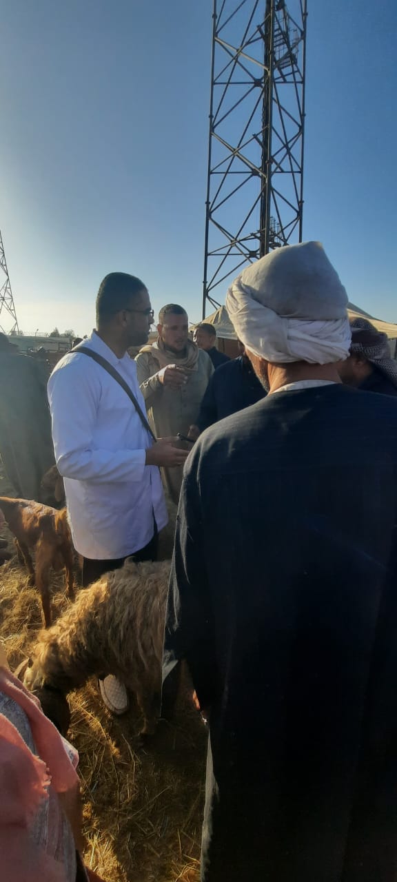 جانب من أعمال اللجنة، فيتو