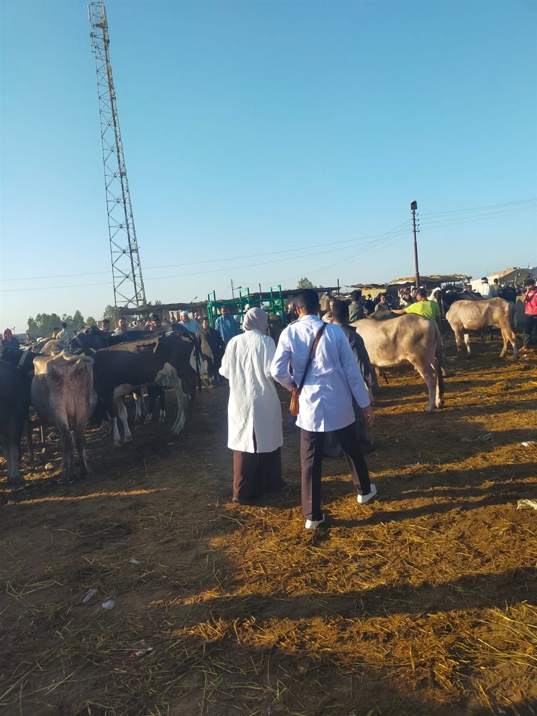 جانب من أعمال اللجنة، فيتو