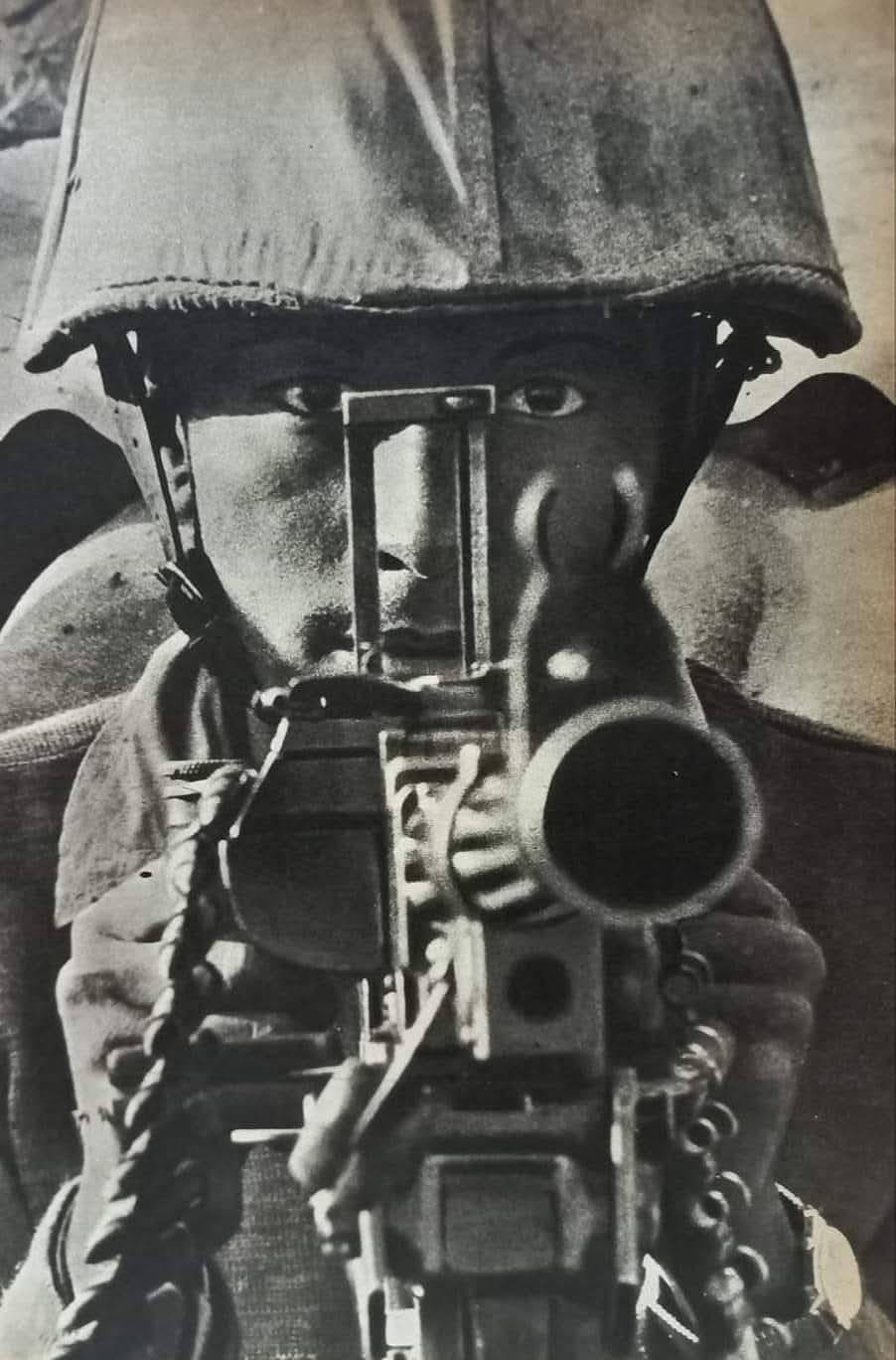 شوقى مصطفى 2