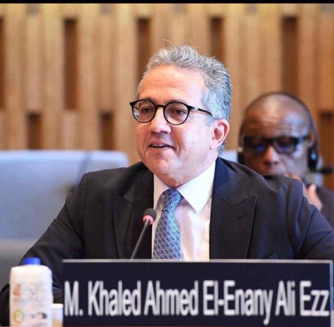 د. خالد العناني، فيتو