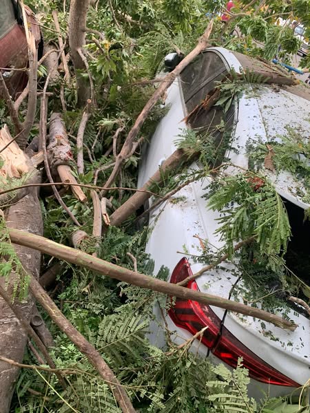 تهشم سيارة سيد نيمار بسبب سقوط شجرة&nbsp;خلال مشاركته في مران البنك الأهلي&nbsp;