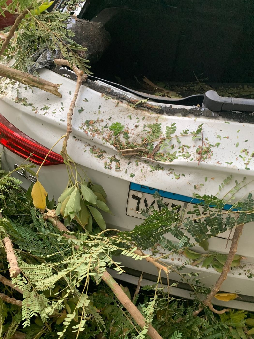 تهشم سيارة سيد نيمار بسبب سقوط شجرة&nbsp;خلال مشاركته في مران البنك الأهلي