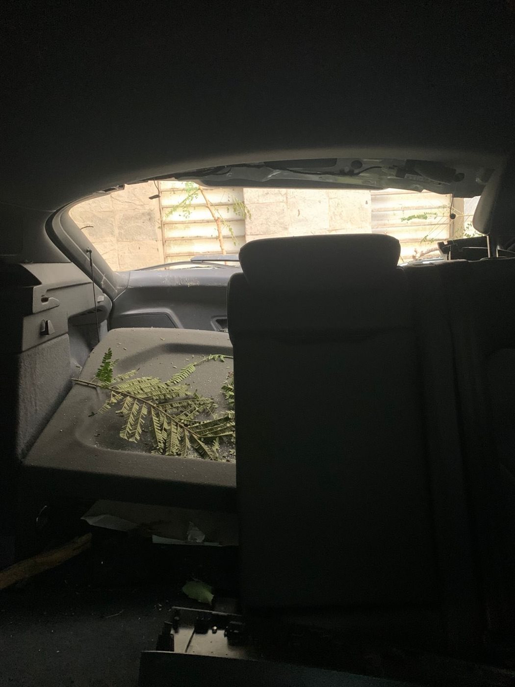 تهشم سيارة سيد نيمار بسبب سقوط شجرة&nbsp;خلال مشاركته في مران البنك الأهلي