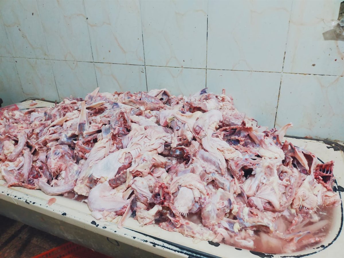 ضبط دواجن وكبده غيرصالحة للاستهلاك الادمي بالقليوبية،فيتو