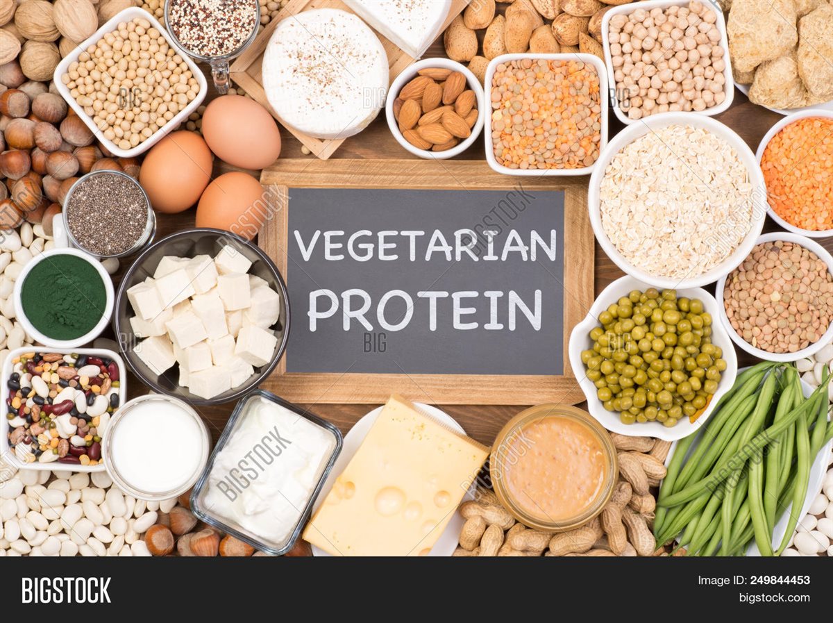 البروتين النباتي وفوائده