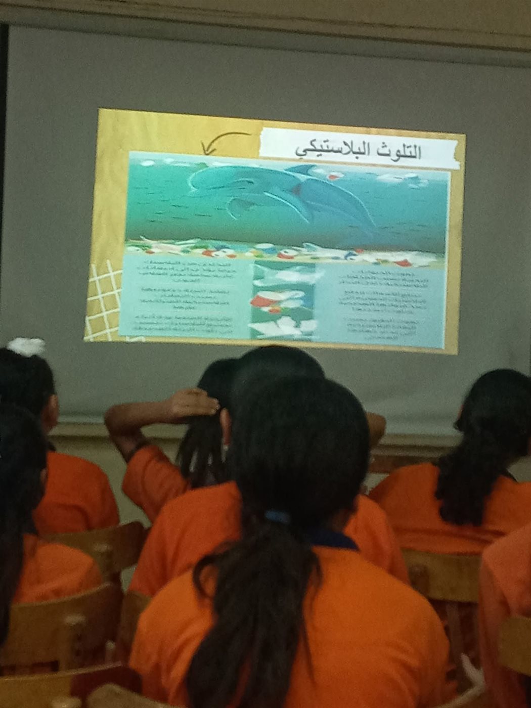 جانب من الفعاليات، فيتو