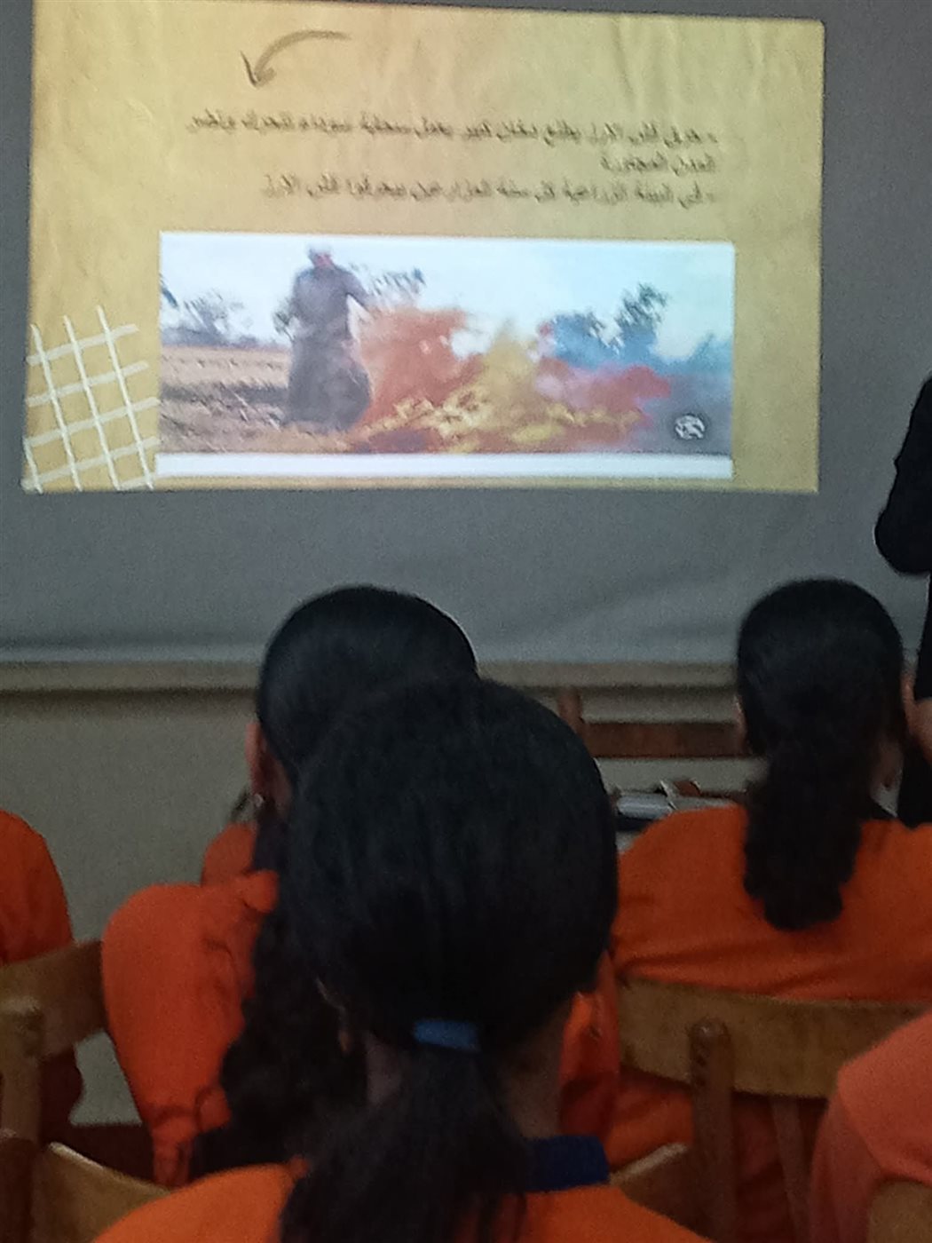 جانب من الفعاليات، فيتو