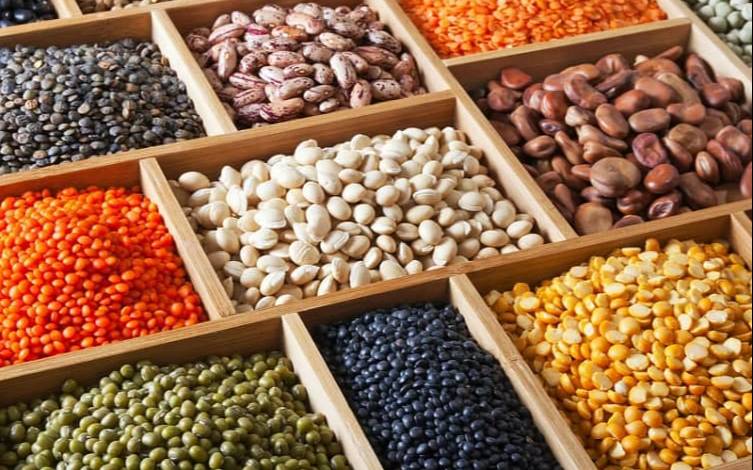 أسعار الفول اليوم