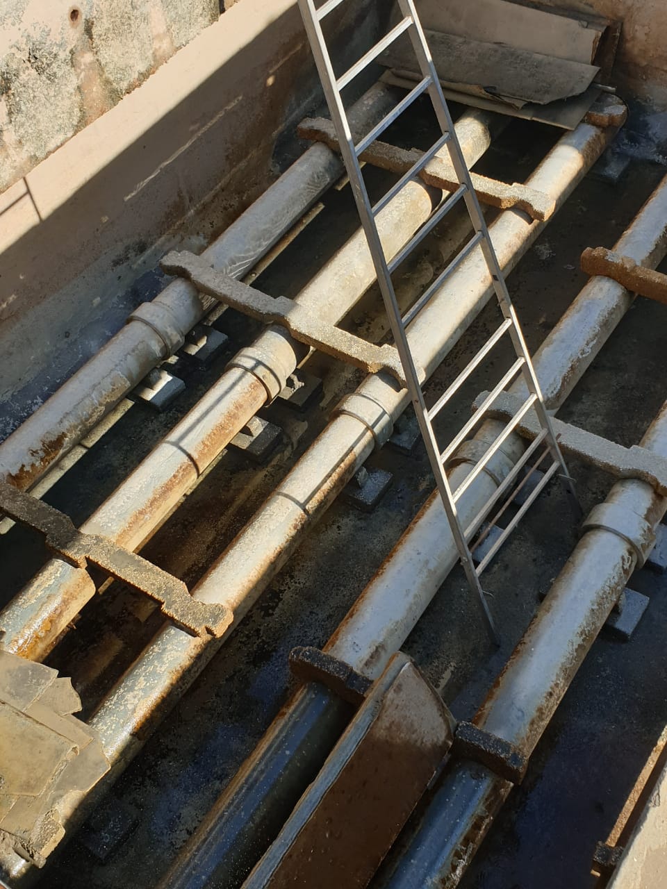 جانب من غسيل المروقات،فيتو