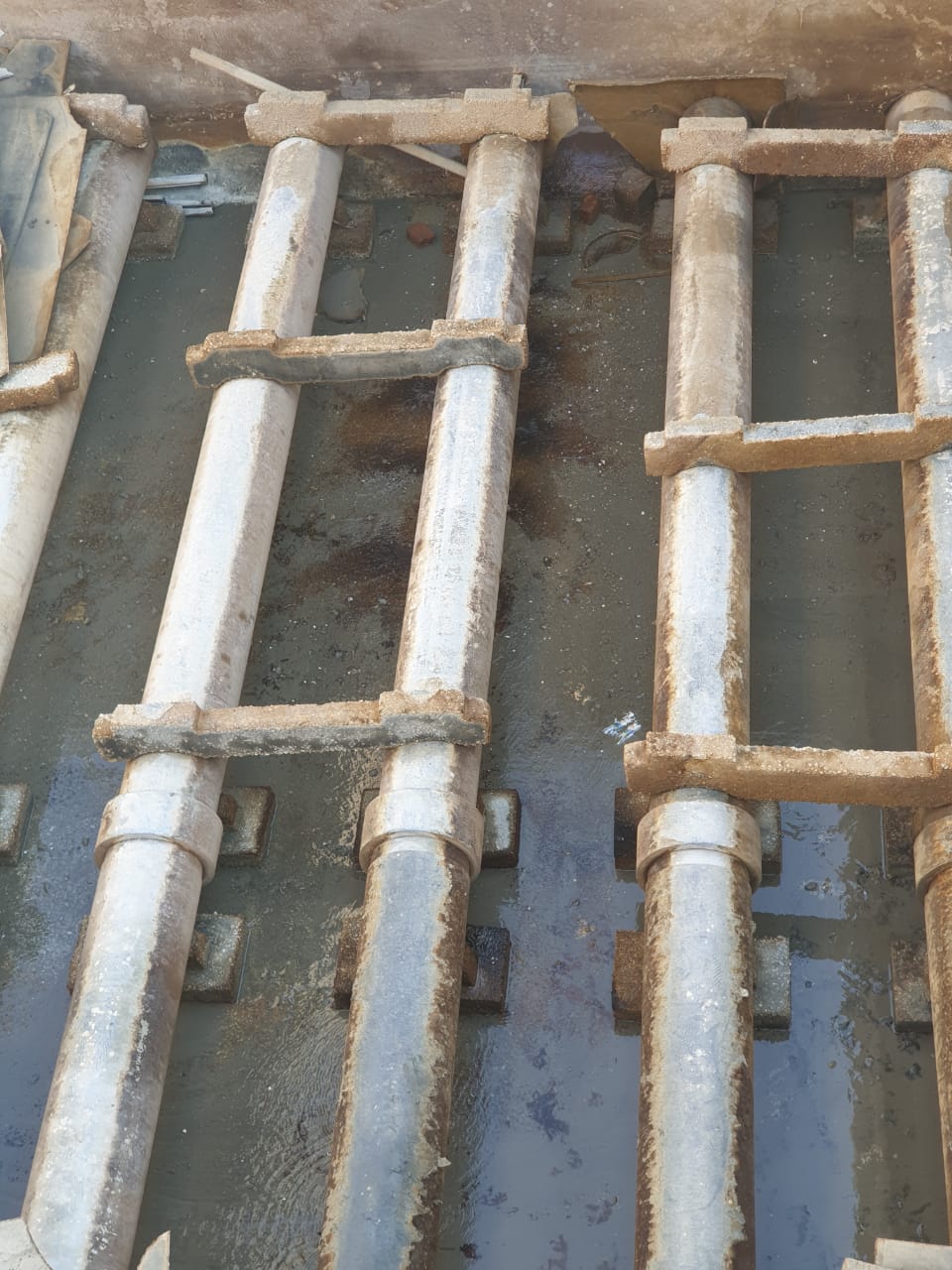 جانب من غسيل المروقات،فيتو