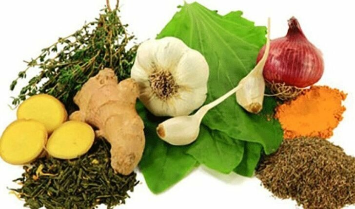 مضادات حيوية طبيعية