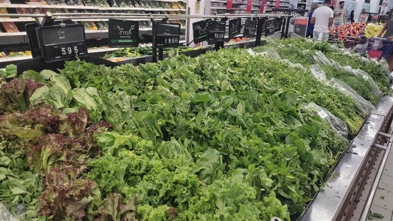 أسعار الشبت والبقدونس والكرفس والجرجير