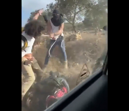 مستوطنون يعتدون على ناشطة ومسنة فلسطينية، فيتو