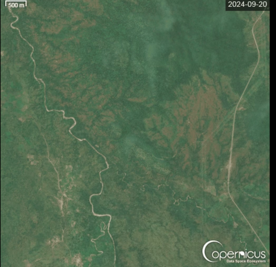 الأعمال الغريبة لم تكن موجودة العام الماضي، فيتو