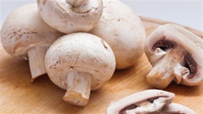 المشروم&nbsp;