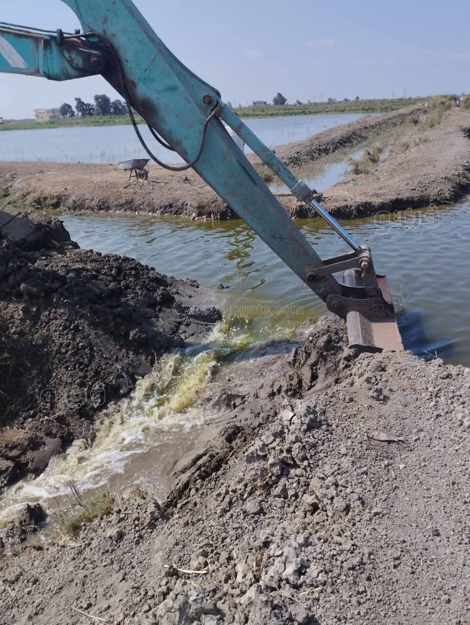 إزالة 20 فدان استزراع سمكي مخالف للقانون, فيتو