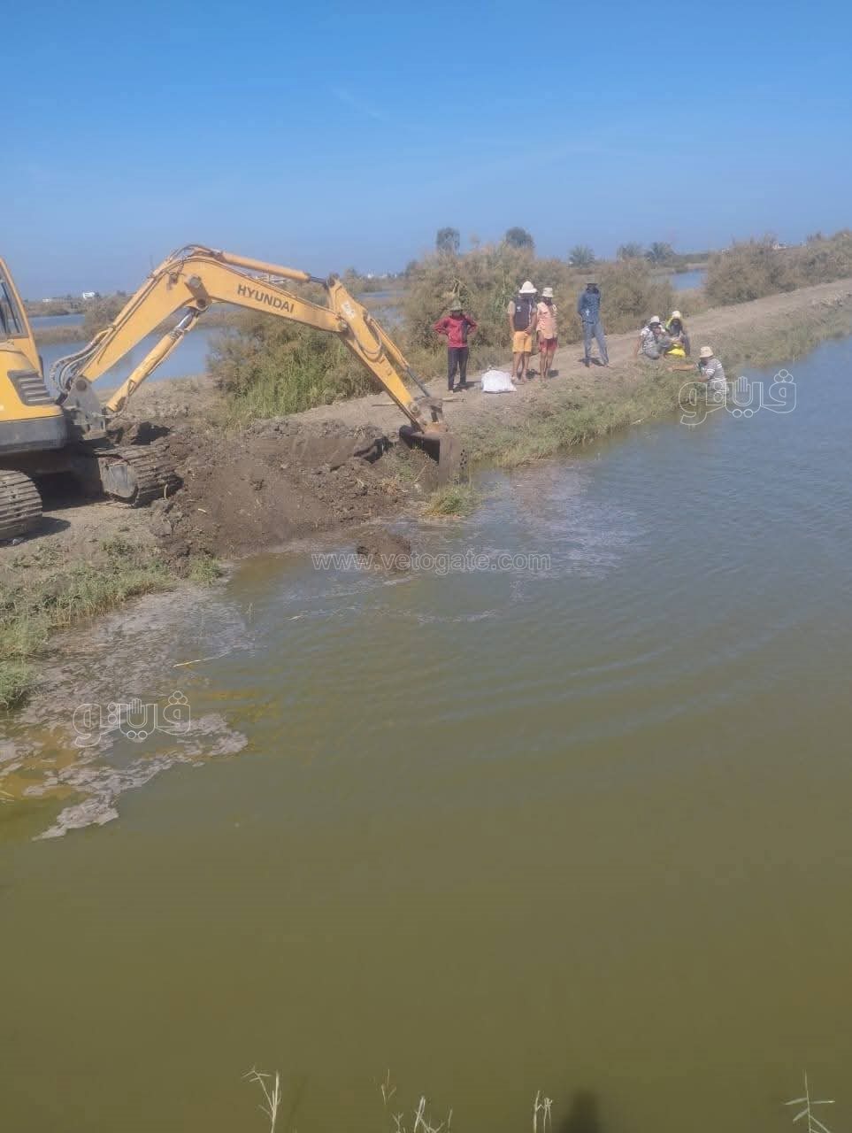 إزالة 20 فدان استزراع سمكي مخالف للقانون, فيتو