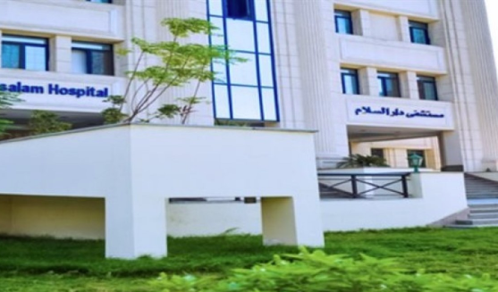 أزمة خصخصة مستشفى هرمل، فيتو