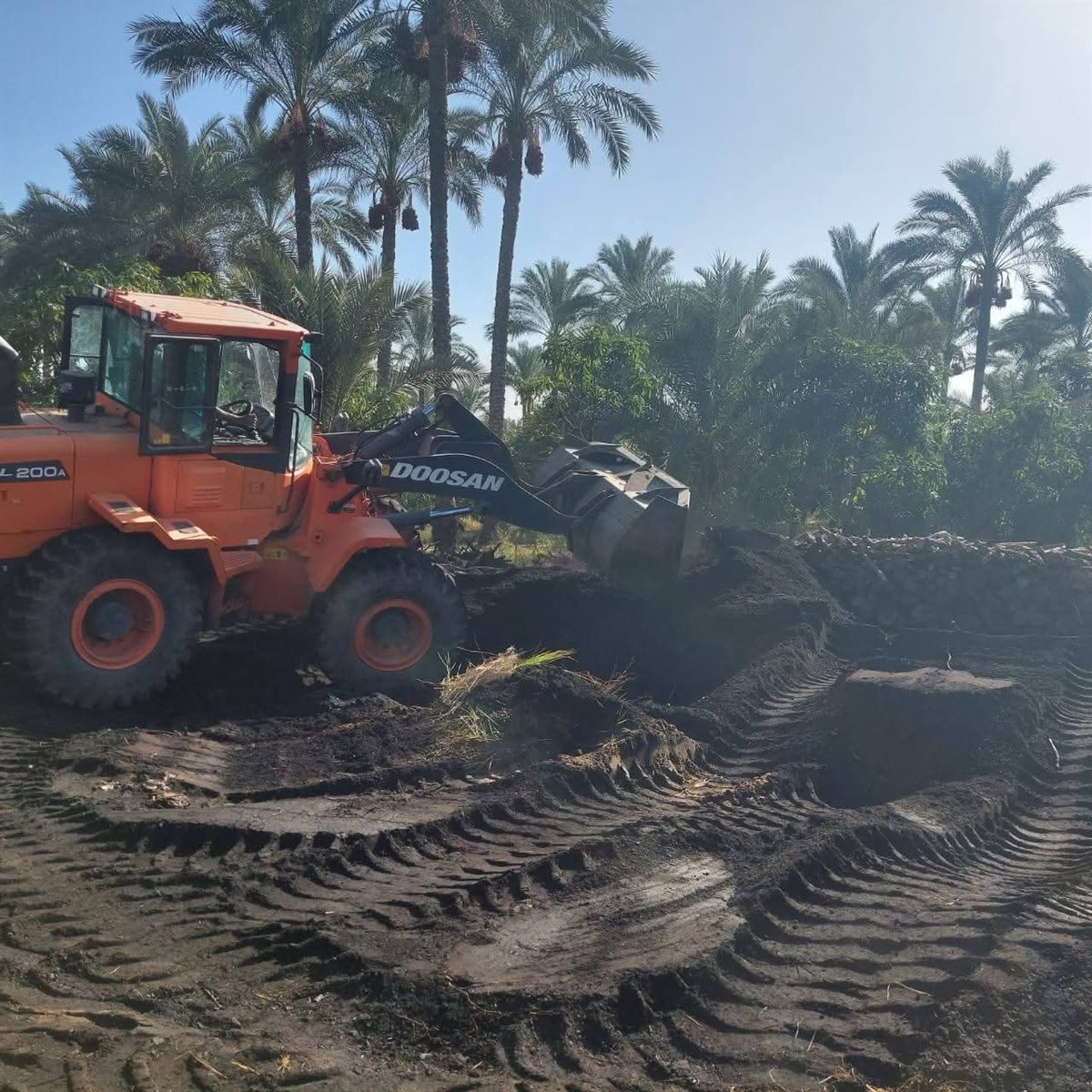 حملة بيئية لازالة مكامير الفحم بدمياط