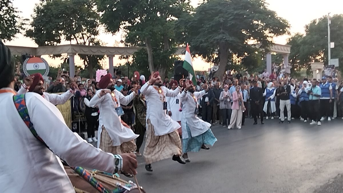 ديفلية مهرجان الفنون الشعبية بالإسماعيلية، فيتو