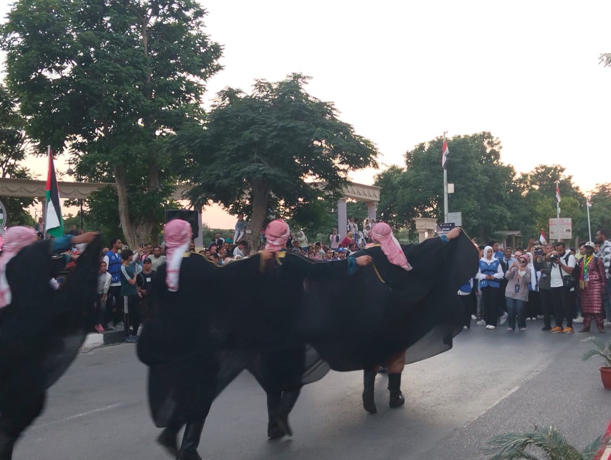 ديفلية مهرجان الفنون الشعبية بالإسماعيلية، فيتو