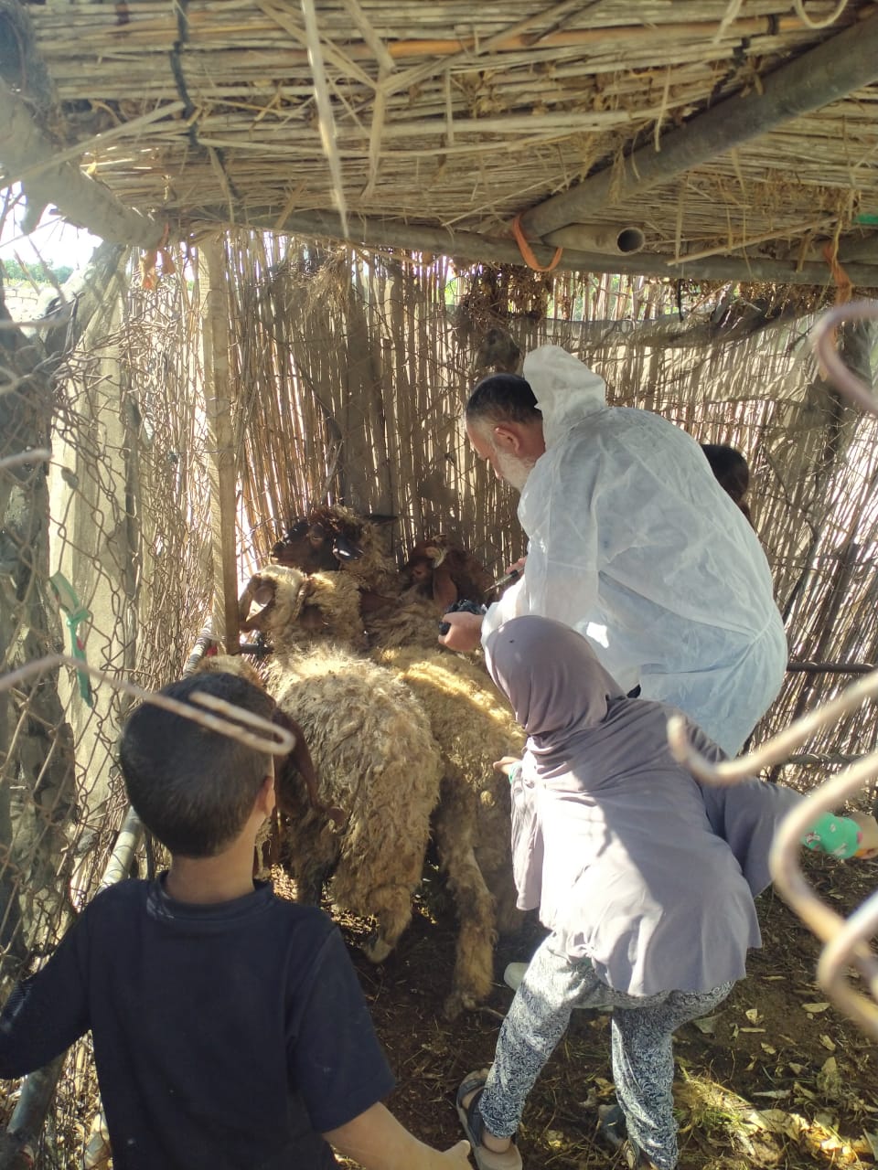 جانب من حملة التحصين، فيتو