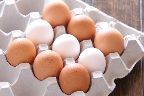  سعر كرتونة البيض اليوم السبت في بورصة الدواجن، فيتو