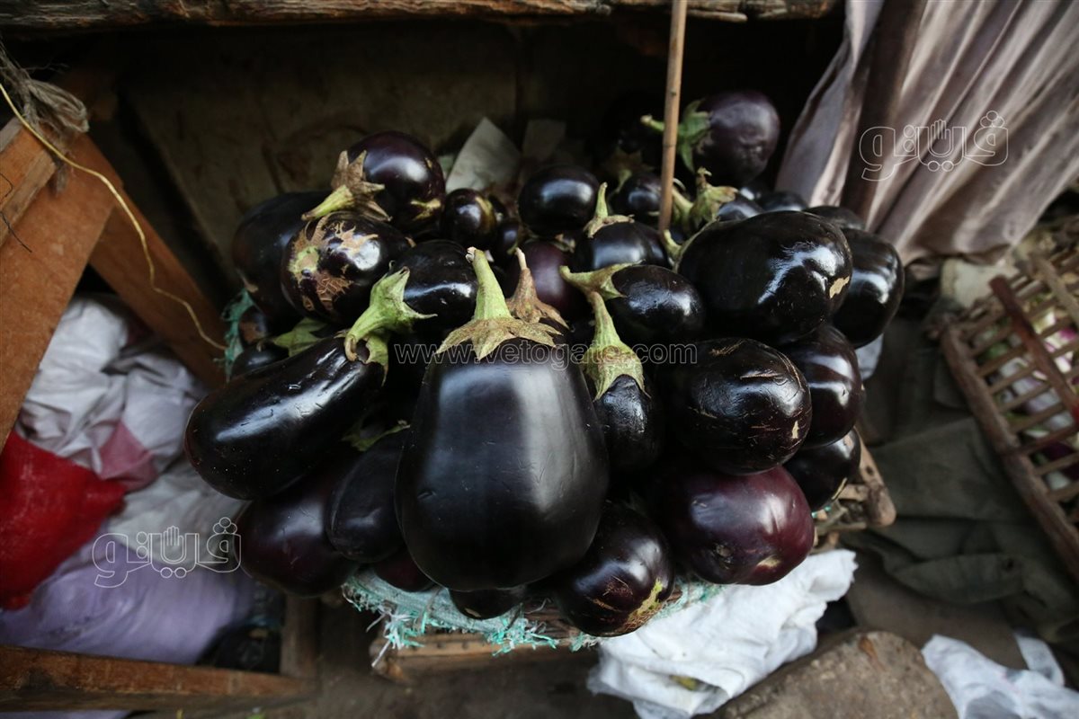 أسعار الخضار اليوم، فيتو