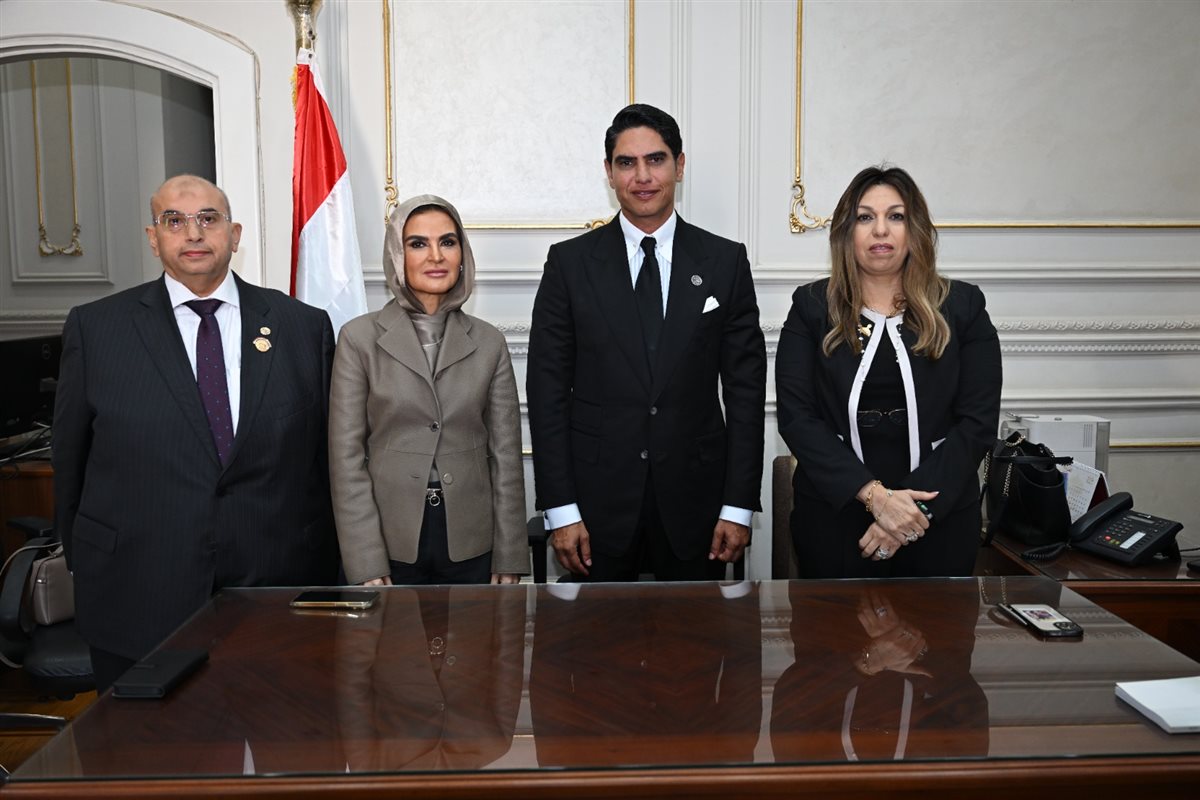 هيئة مكتب اللجنة الاقتصادية بمجلس الشيوخ