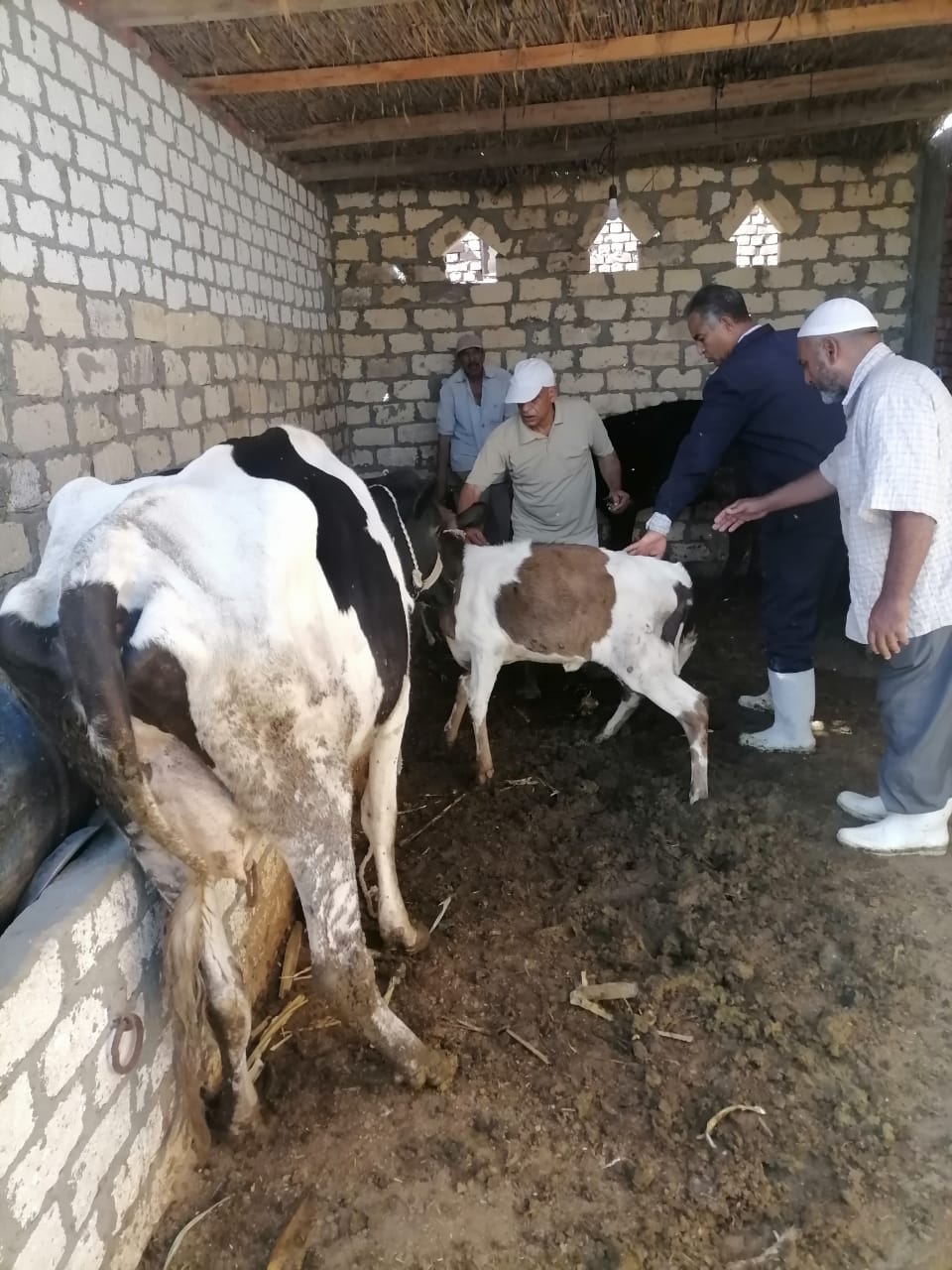 جانب من أعمال التحصين، فيتو