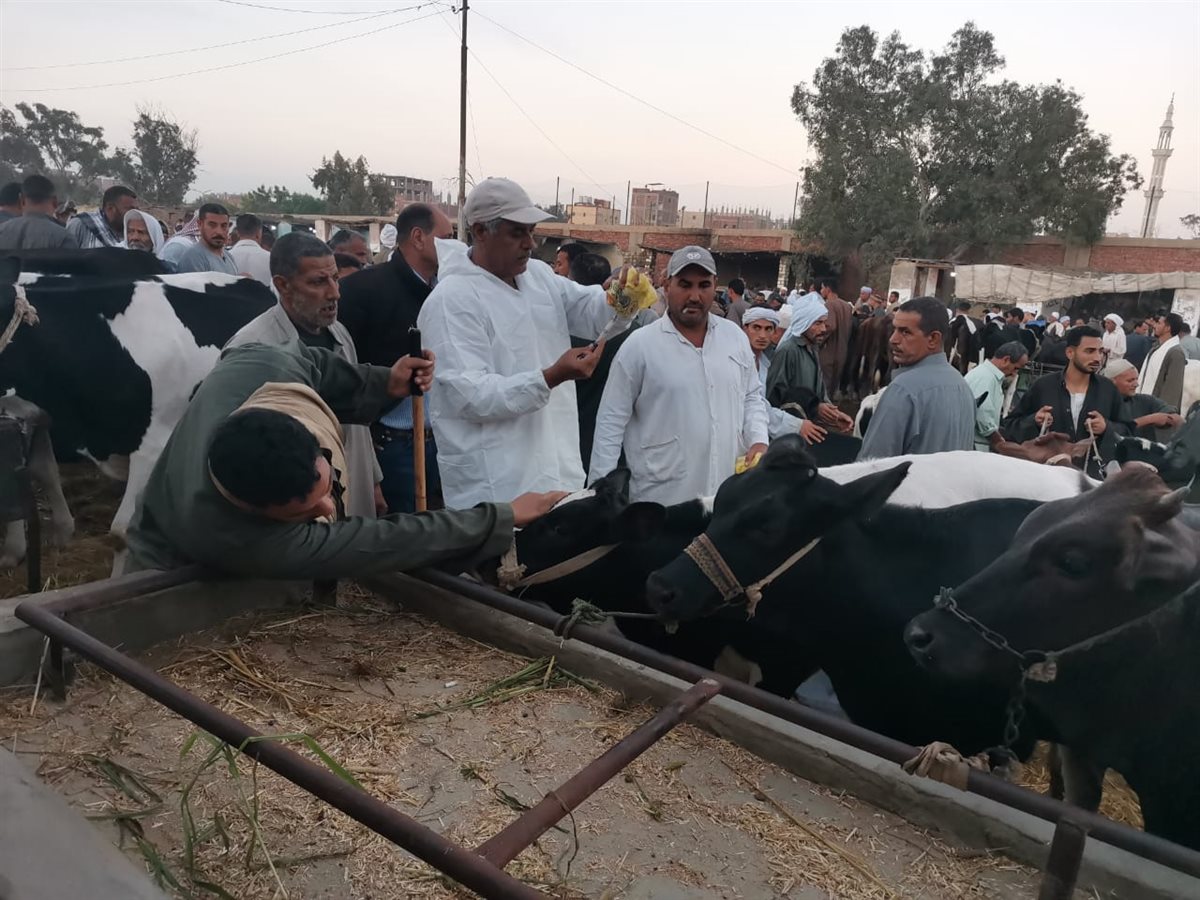 جانب من أعمال التحصين، فيتو