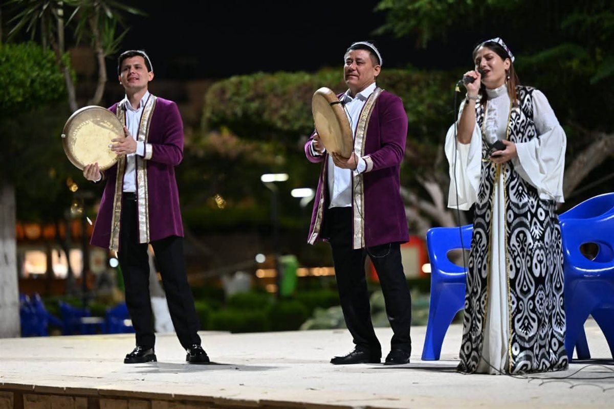 جانب من عروض المهرجان، فيتو