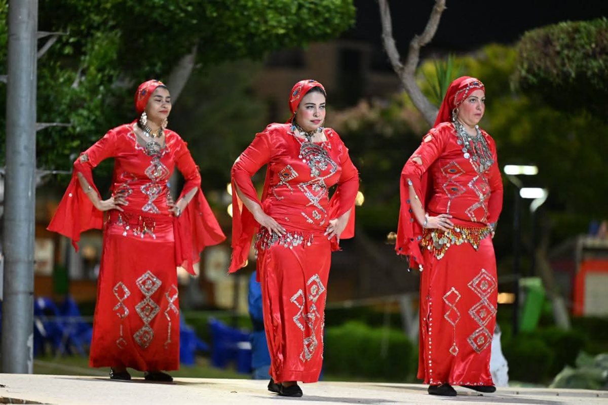 جانب من عروض المهرجان، فيتو