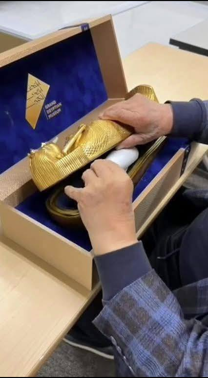 بطاقة دعوة افتتاح المتحف المصري الكبير تصل لعالم المصريات الياباني، فيتو