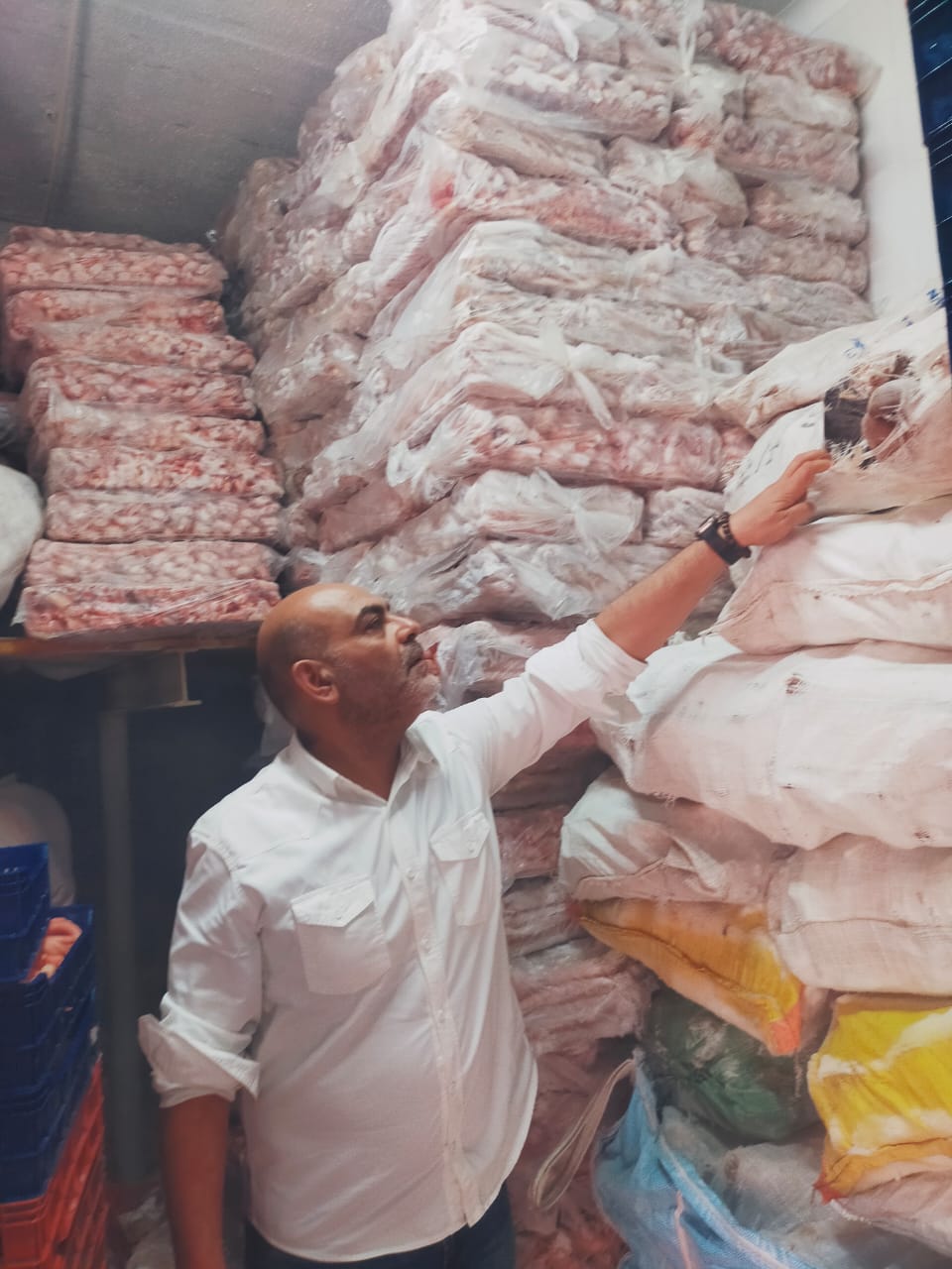 ضبط احشاء غير صالحة للاستهلاك الادمي بالقليوبية، فيتو 