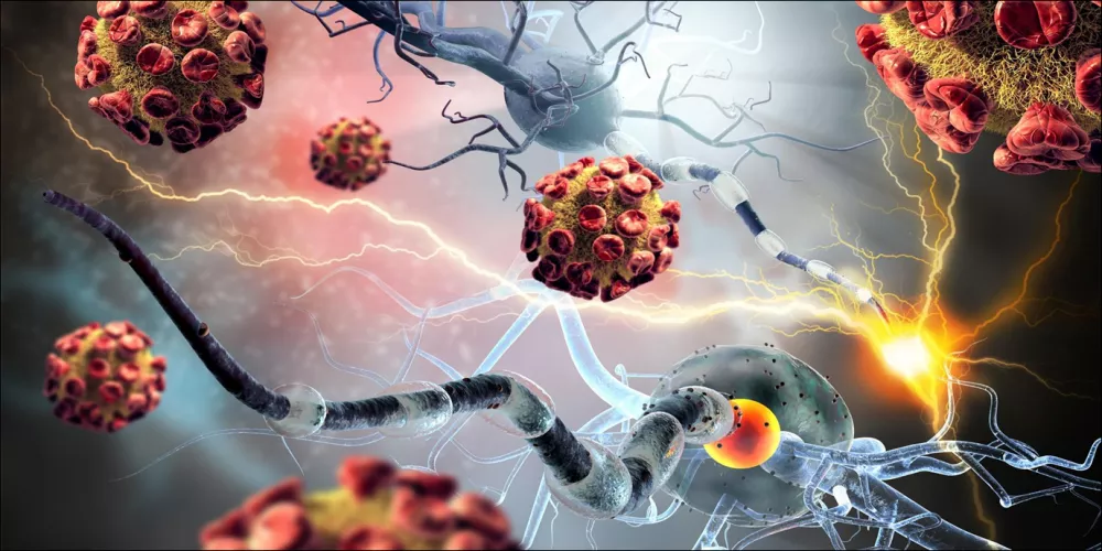 زيادة جهاز المناعة