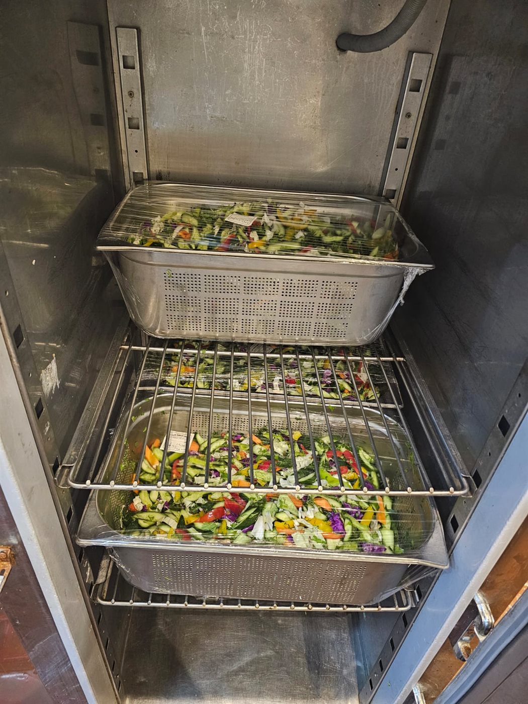 جانب من الحملات،فيتو