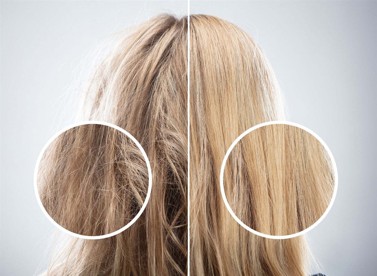 وصفات طبيعية للشعر