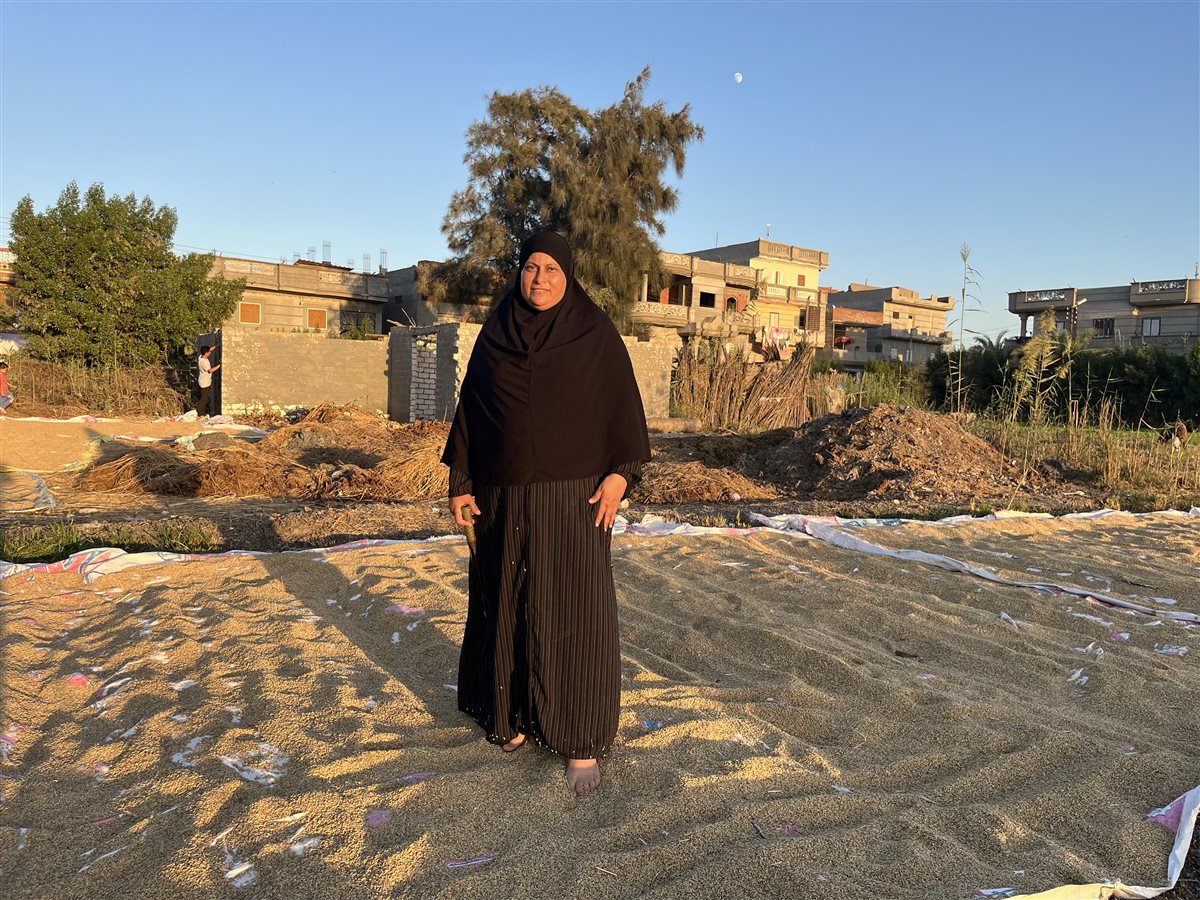 الحاجة هدى اشهر تاجرة حبوب بالبحيرة، فيتو