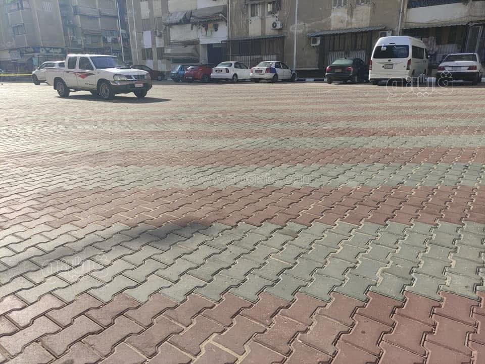 طفرة تطويرية بمدينة بورفؤاد، فيتو 