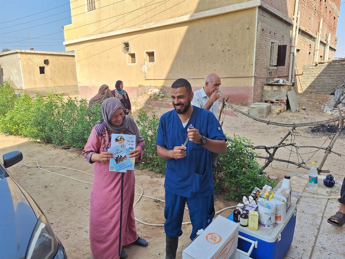 جانب من القافلة، فيتو