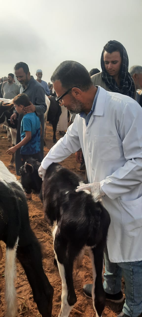 جانب من القافلة، فيتو