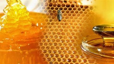 عسل النحل